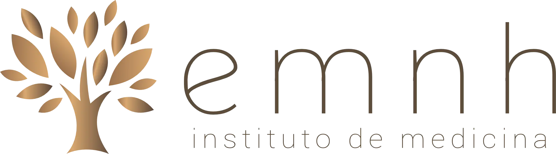 Instituto Emnh